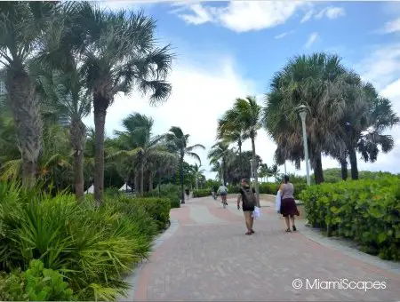 Pedestrians and bikers on the Miami Beachwalk