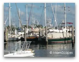 Miami Boat Show