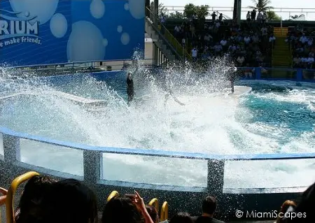 Miami Seaquarium: Get ready to get wet