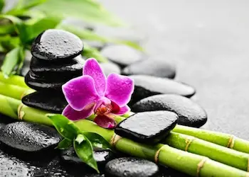 Miami Spa Month Miami Spa Month