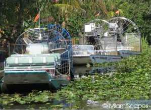 Airboat Ride in the Everglades