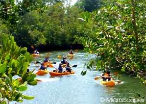 Kayaking at Oleta River State Park