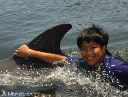 Swimming with Dolphins at Dolphin Research Center