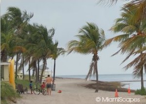 Miami Family-Friendly Beaches: Crandon Park