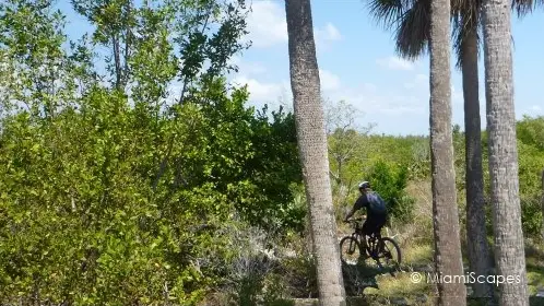 Mountain Biking at Oleta