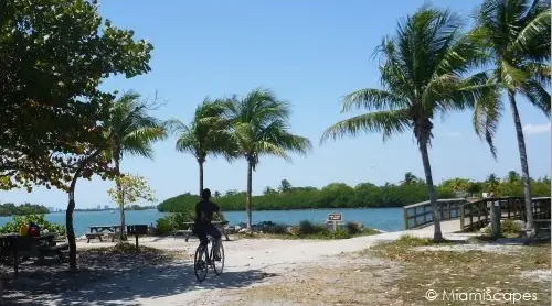 Oleta biking trails along the beach