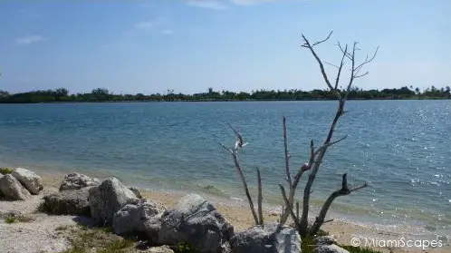 Oleta biking break