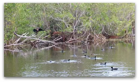 Mrazek Pond