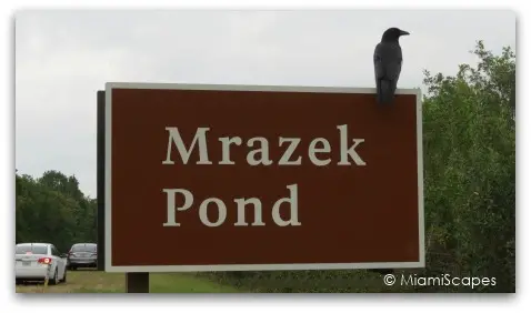 Mrazek Pond Sign