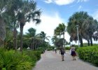 Miami Beach Walk