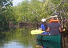 Canoeing Biscayne Park