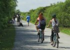 Shark Valley biking trails