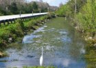 Canal along Tamiami Trail