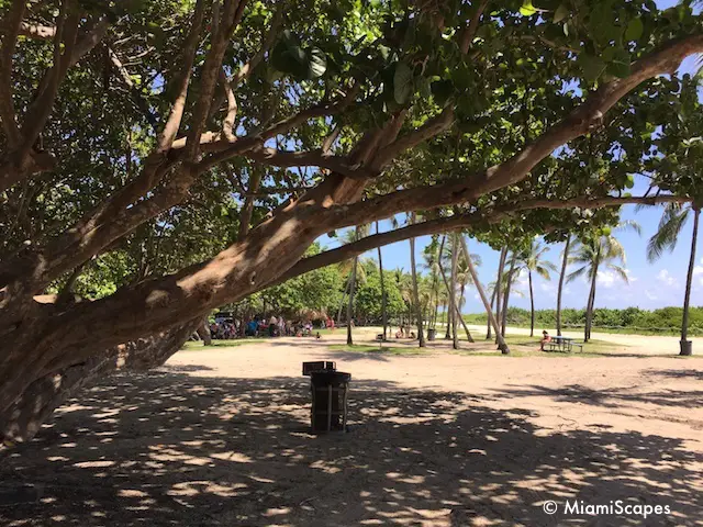 North Shore Open Space Park beach picnic tables