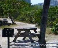 Oleta facilities: picnic tables and barbeque areas
