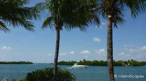 Boating and Jetskiing