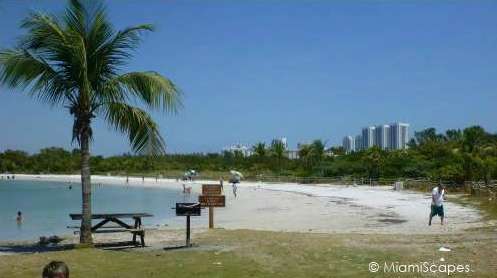 Beach at Oleta River State Park