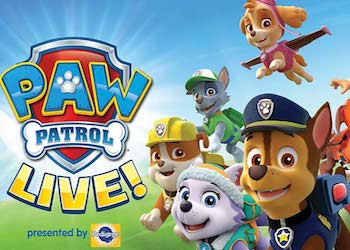 Paw Patrol  Adventure