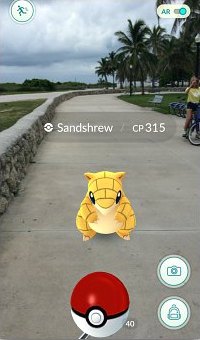 Ground type Pokemon Sandshrew on the Paved Promenade in South Beach