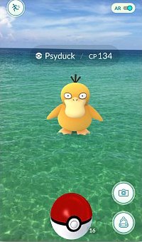 Catching  Psyduck in the water in Miami