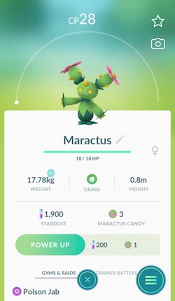 Region specific pokemon go found in Miami: Maractus
