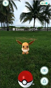 Eevee, a normal type Pokemon spawns everywhere