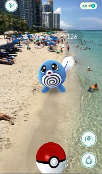 Catching Poliwag on the beach in Miami