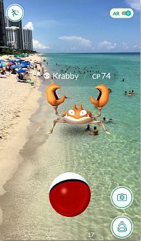 Catching Krabby at the Sunny Isles Beach in Miami