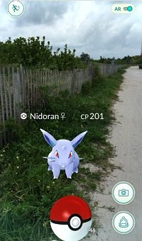 Catching  Nidoran on the trails at Lummus Park in Miami