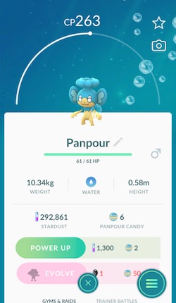 Region specific pokemon go found in Miami: Panpour