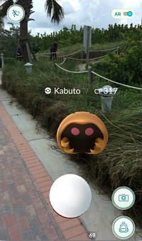 A Kabuto, a rock type Pokemon spawns on the Miami Beach Walk