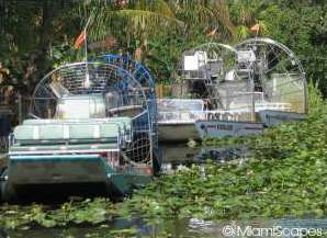 Airboat Ride in the Everglades