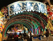 Santa's Enchanted Forest