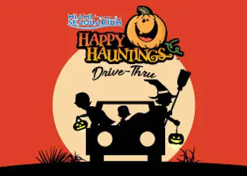 Halloween at the Miami Seaquarium 2020 Halloween at the Miami Seaquarium 2020