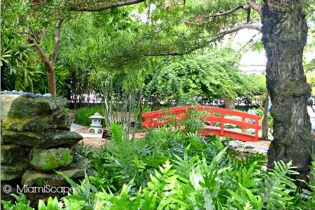 Segway Tour in Miami: Botanical Gardens