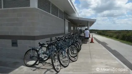 Shark Valley Biking