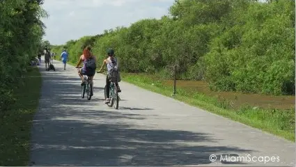 Shark Valley Biking