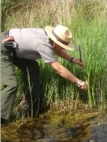 Ranger Program at Shark Valley