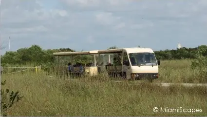 Shark Valley Tram Tour