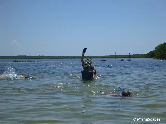 John Pennekamp Snorkeling from the beach