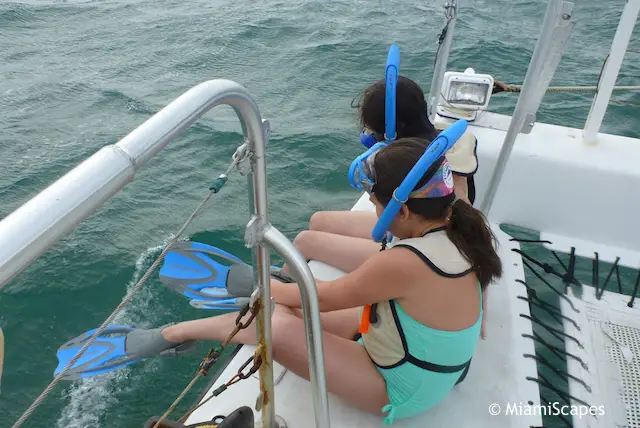 Snorkeling from the Reef Roamer Catamaran