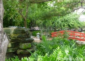Koi Pond at the Botanical Gardens