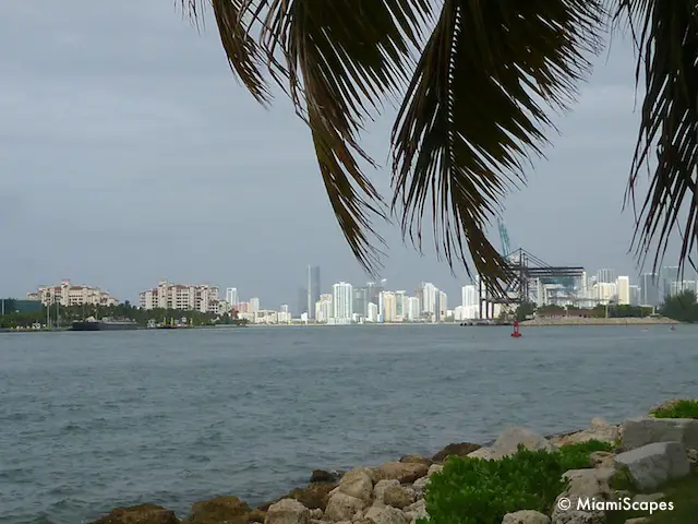 View of downtown Miami from South Pointe Park