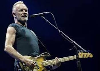 Sting Sting
