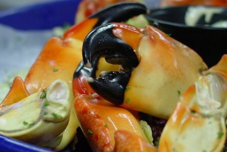 Miami in October: Stone Crab Season