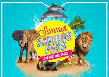 Miami Summer Savings Pass
