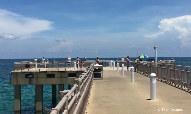 Fishing from Sunny Isles Newport Fishing Pier