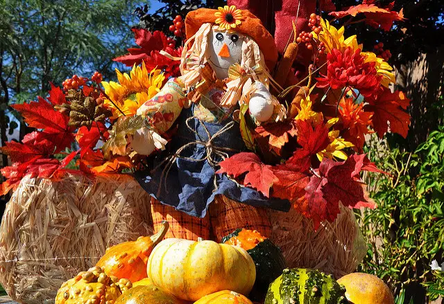 Thanksgiving and Autumn Decorations