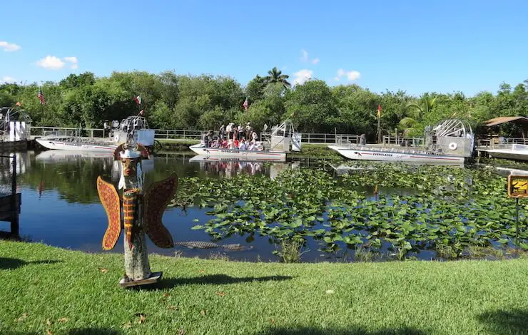 Everglades Airboat Rides in Autumn