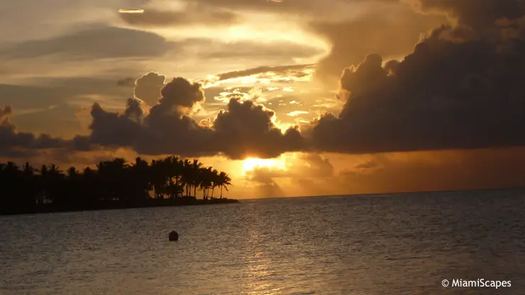 Valentines Day in Miami: Romantic Beaches